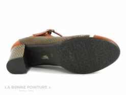 Dorking RODIN D8669 Orange Et Marron - Escarpin Avec Bride -LA BONNE POINTURE Soldes cd24607c73b9e66c561f35ea11d5d5ef img 1299.jpg 173233