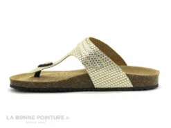 Geox D35LSK - BRIONIA Metal Lt Gold - Tong Femme Reglable Or 10 Geox D35LSK - BRIONIA Metal Lt Gold - Tong Femme Reglable Or -LA BONNE POINTURE Soldes cd24607c73b9e66c561f35ea11d5d5ef img 7321.jpg 180617