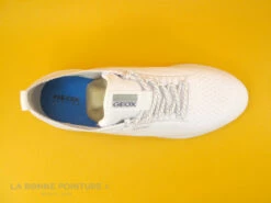 Geox SPHERICA - D15NUA - White - Sneakers Femme Blanches 13 Geox SPHERICA - D15NUA - White - Sneakers Femme Blanches -LA BONNE POINTURE Soldes cd24607c73b9e66c561f35ea11d5d5ef img 7440.jpg 168508