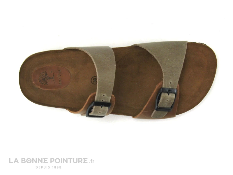 Interbios 7211 Ours Pardo - Mule Femme Avec Brides Reglables 6 Interbios 7211 Ours Pardo - Mule Femme Avec Brides Reglables – Image 4